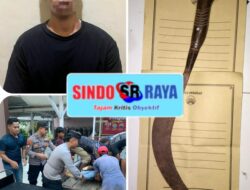Gerak Cepat Polsek Sapeken Amankan Pelaku Penganiayaan Yang Mengakibatkan Korban Meninggal