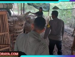 Polres Nganjuk Tindak Lanjut Dugaan Sabung Ayam di Bagor