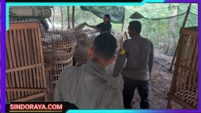 Polres Nganjuk Tindak Lanjut Dugaan Sabung Ayam di Bagor