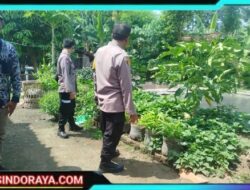 Dukung Ketahanan Pangan, Polsek Baron Pantau Budidaya Lele di Desa Mabung