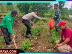 Polsek Ngetos Dukung Ketahanan Pangan Dengan Pemanfaatan Lahan Pekarangan