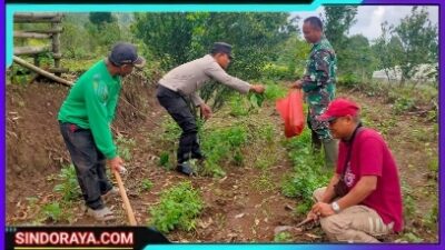 Polsek Ngetos Dukung Ketahanan Pangan Dengan Pemanfaatan Lahan Pekarangan