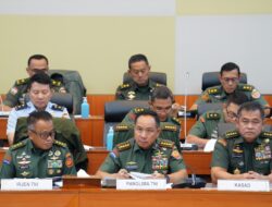 Revisi UU, TNI untuk Perkuat Pertahanan Negara, dan Profesionalisme Prajurit