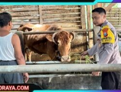 Polsek Lengkong Pantau Peternakan Warga, Antisipasi Penyakit PMK