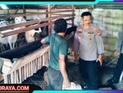 Pemanfaatan Lahan Pekarangan, Bhabinkamtibmas Betet Dukung Ketahanan Pangan