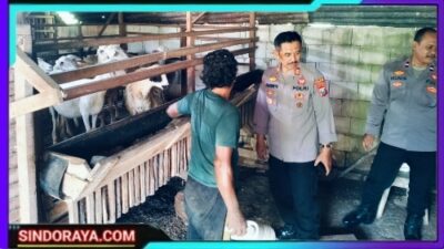Pemanfaatan Lahan Pekarangan, Bhabinkamtibmas Betet Dukung Ketahanan Pangan