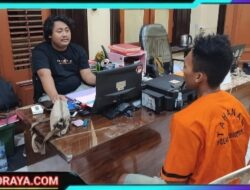 Polres Bondowoso Berhasil Amankan Pengedar Sabu Antar Wilayah