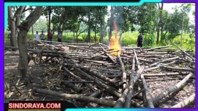 Patroli Drone, Polres Pasuruan Kota Berhasil Identifikasi dan Bongkar Lokasi Sabung Ayam