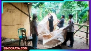 Polisi Bongkar Arena Perjudian Sabung Ayam di Ngronggot Nganjuk