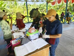 Peduli Masyarakat, Satgas Yonif 611/Awang Long Gelar Posyandu Bagi Masyarakat Mimika