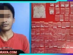 Satresnarkoba Polres Pelabuhan Tanjung Perak Amankan Kurir Sabu Asal Sidoarjo, 65 Poket Sabu Disita