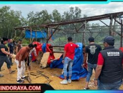 Satreskrim Polres Sampang Gerebek Judi Sabung Ayam di Desa Batuporo Barat Kedundung