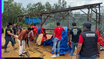 Satreskrim Polres Sampang Gerebek Judi Sabung Ayam di Desa Batuporo Barat Kedundung