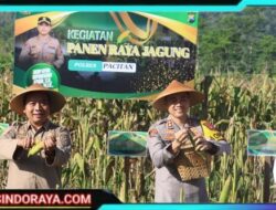 Polres Pacitan Bersama Warga Tani Panen Jagung, Wujudkan Ketahanan Pangan Nasional