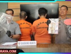 Polres Mojokerto Berhasil Tangkap DPO Preman Kampung Yang Keroyok Pegawai PLN