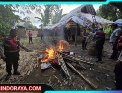 Tindak Tegas Perjudian, Polres Mojokerto Bongkar Arena Sabung Ayam