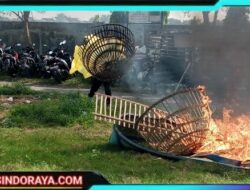 Polisi Bongkar Arena Judi Sabung Ayam di TPS Ngaglik Sidoarjo