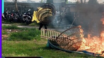 Polisi Bongkar Arena Judi Sabung Ayam di TPS Ngaglik Sidoarjo
