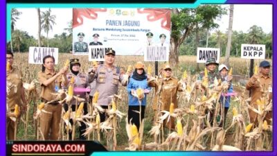 Dukung Ketahanan Pangan Kapolres Sumenep Bersama Forkopimda Panen Jagung Bersama di Desa Ellak Daya