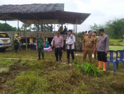 Sinergi TNI dan Pemda Tabalong Dukung Ketahanan Pangan Lewat Penanaman Jagung