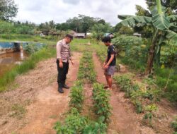 SATBINMAS SAMBANG PETANI, SAMPAIKAN PESAN-PESAN KAMTIBMAS