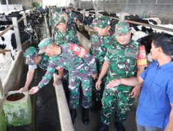 Bekali Prajurit, Jelang Masa Pensiun Kodim 0808 Berikan Pengetahuan Beternak Sapi Perah