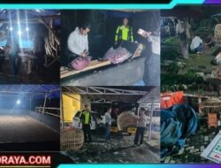 Diduga Hanya Formalitas, Penggerebekan Markas Judi Sabung Ayam di Sukomoro Nganjuk Gagal Tangkap Pelaku