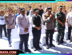 Dukung Swasembada Pangan, Kapolda Jatim Bersama Forkopimda Panen Raya Jagung Kuartal II di Ngawi