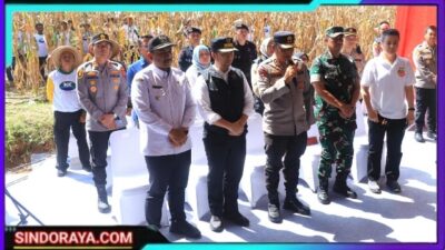 Dukung Swasembada Pangan, Kapolda Jatim Bersama Forkopimda Panen Raya Jagung Kuartal II di Ngawi