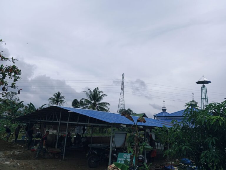 IMG-20250601-WA0101