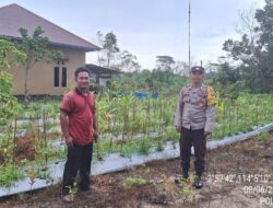 Pemanfaatan Pekarangan, Rumah Warga Masyarakat Menjadi Pekarangan Bergizi di Wilkum Polsek Maliku
