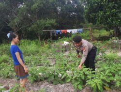 Polsek Banama Tingang Dorong Ketahanan Pangan Lokal Melalui Pemanfaatan Pekarangan Warga