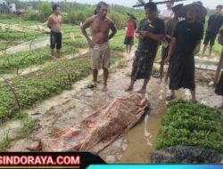 Seorang Petani di Torjun Sampang Meninggal Dunia Usai Tersambar Petir