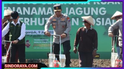 Kapolda Jatim Pimpin Penanaman Jagung Serentak di Nganjuk, Dukung Target Nasional 10 Juta Ton