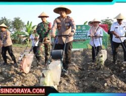 Sinergi Wujudkan Ketahanan Pangan, Kapolres Pelabuhan Tanjung Perak Pimpin Penanaman Benih Jagung di Kenjeran