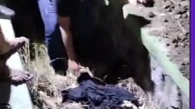 Polres Pasuruan Berhasil Ungkap Kasus Pembunuhan di Gempol, Pelaku Ditangkap Dalam Hitungan Jam