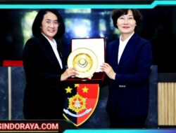 Perkuat Kerja Sama Pelindungan Perempuan dan Anak, Bareskrim Polri Terima Kunjungan Delegasi Kepolisian Nasional Korea Selatan