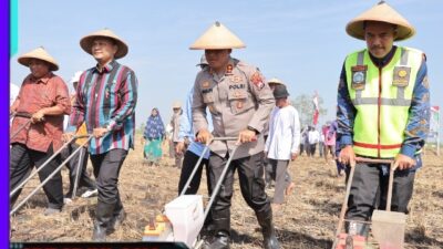 Dukung Ketahanan Pangan Nasional, Polres Lamongan Tanam Jagung di Lahan Baku Desa Kedali