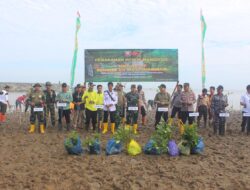 Mencegah Abrasi, Di Pesisir Pantai Kodim 1009/Tla Melaksanakan Penanaman Pohon Mangrove