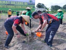 Pematangan Lahan Siap, Kodim 0808/Blitar Tanam Bibit Di Lahan Integrated Farming Desa Dandong