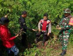 Upaya Pencegahan Karhutla Personel Kodim 1009/Tla Melaksanakan Patroli Wilayah