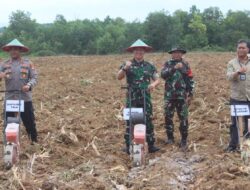 Dandim 1009/Tla Hadiri Penanaman Jagung Serentak Kuartal III Oleh Polres Tanah Laut