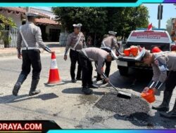 Peduli Keselamatan Masyarakat Polantas Polres Situbondo Tambal Jalan Berlubang Cegah Laka
