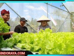 Ratusan Anak Muda Daftar Jadi Peserta Program Inkubasi Jagoan Banyuwangi 2025