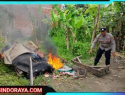 Respon Cepat Pengaduan Masyarakat, Polisi Bongkar Arena Sabung Ayam di Sidoarjo