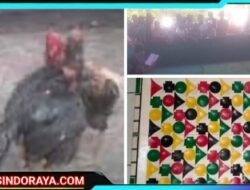 Arena Judi Sabung Ayam dan Cap Jiki di Lekok Pasuruan Jadi Sorotan, Polisi Diminta Tegas