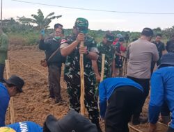 Dukung Ketahanan Pangan Dandim 1208/Sambas Hadiri Tanam Jagung Se-Kecamatan Subah Dan Tinjau Hasil Karya Bakti Rabat Beton