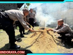 Wujudkan Kampus Hijau, Ratusan Calon Bintara Polri Dalami Ilmu Pertanian di SPN Polda Jatim