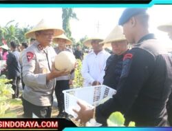 Brimob Polda Jatim Panen Melon dan Semangka, Dukung Program Ketahanan Pangan Nasional