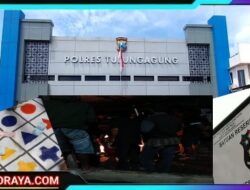 Adanya Dugaan Judi Cap Jeki dan Prostitusi Terselubung di Belakang Polsek Ngunut Tulungagung Kian Marak, Masyarakat Soroti Kinerja Polisi